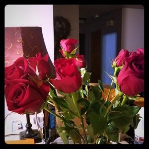 Meet your Posher, Mandy